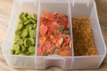 food for aquarium fish