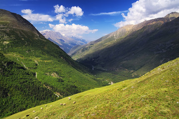 Mountain valley in summer time. Beautiful natural landscape.