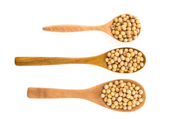 Soybean isolated on white background