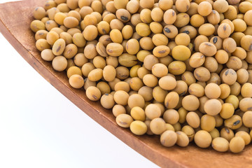 Soybean isolated on white background