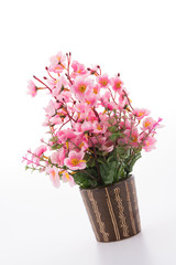 Vase flower isolated on white background