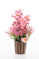 Vase flower isolated on white background