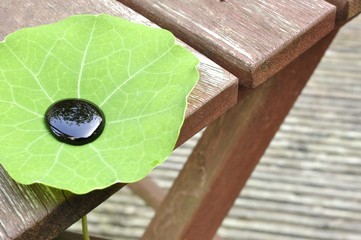 Lotuseffekt hydrophob