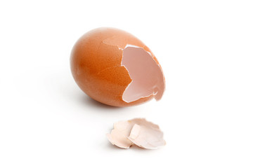 shell eggs