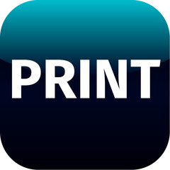 print blue icon for app