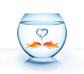 goldfish in love - romantic concept