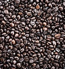 Coffee beans isolated on white background