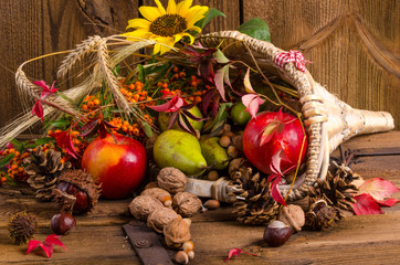 Cornucopia