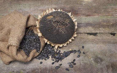 dried Sunflower and seeds in burlap bag on wooden background