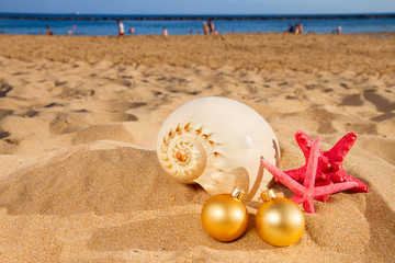 Fototapeta na wymiar shells and christmas decorations on beach