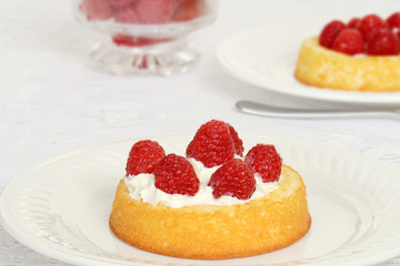macro raspberry shortcake