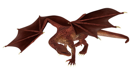 Fantasy Dragon on White