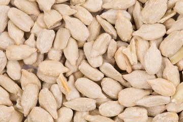 Peeled sunflower seeds.