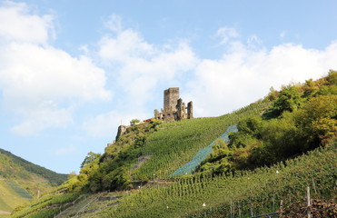 Fototapeta na wymiar Castle Metternich in Beilstein, Germany.