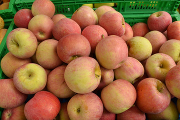 Äpfel auf dem Markt