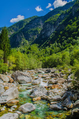 Fototapeta na wymiar River in Locarno's valley