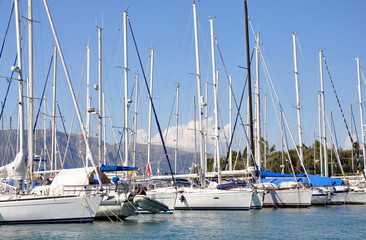 yachts in the harbor