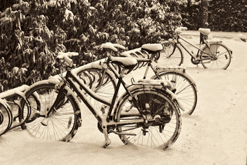 Fototapeta na wymiar Bicycles in the Snow