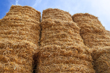 Bale of Hay Straw,Blue Sky