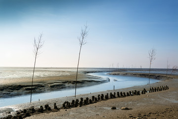 Pricken im Wattenmeer