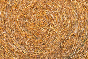 Straw Hay Background