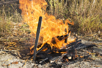 bonfire on a picnic in the taiga forest