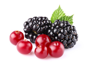 Blackberry with cranberry © Dionisvera