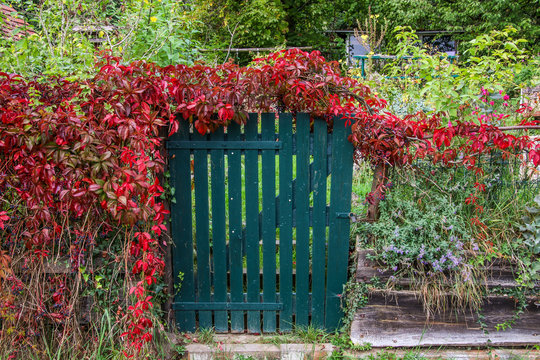 Gartenfreund