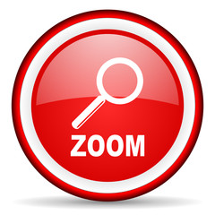 zoom web icon