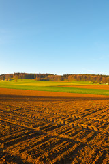 Farmland