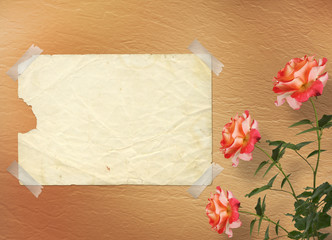 Grunge background for congratulation with beautiful rose