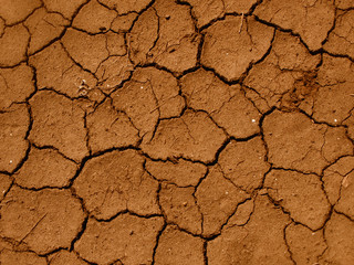 cracked clay ground into the dry season