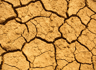 cracked clay ground into the dry season