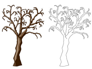 Fototapeta na wymiar tree illustration