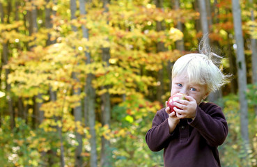 Baby Eating Fruit at Apple Orchard