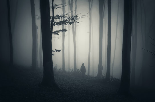 man in a mysterious dark forest