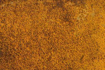 The rusted metal background