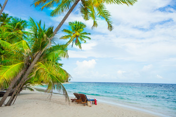 Rest in Paradise - Malediven - Sonnenliegen und Strandtasche am