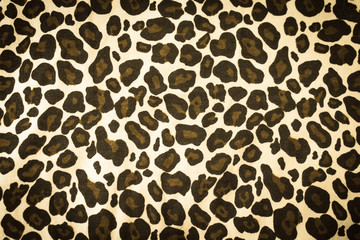 Fototapeta na wymiar Leopard background