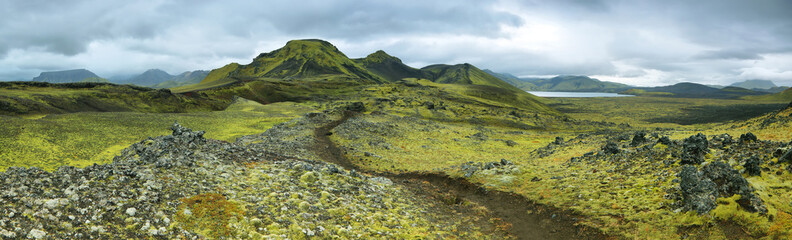 Volcanic landscape covered with moss © estivillml