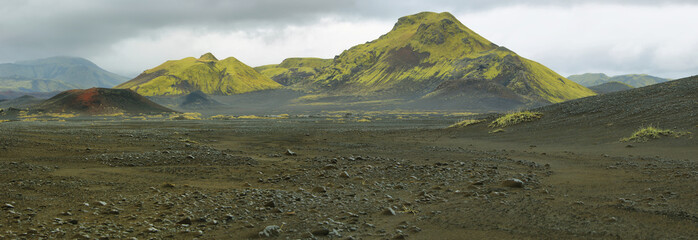 Volcanic landscape covered with moss