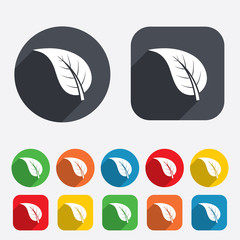 Leaf sign icon. Fresh product symbol.