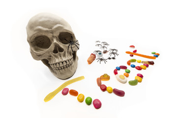 Trick or Treat candy and bugs with skull on white
