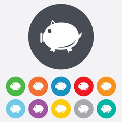 Piggy sign icon. Pork symbol.