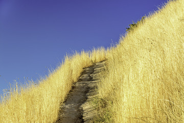 Golden grasses along a footpath in the hills