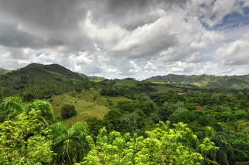 Tropical Forest, Dominican Republic