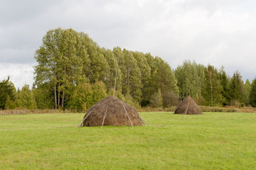 Haystacks on a meadow