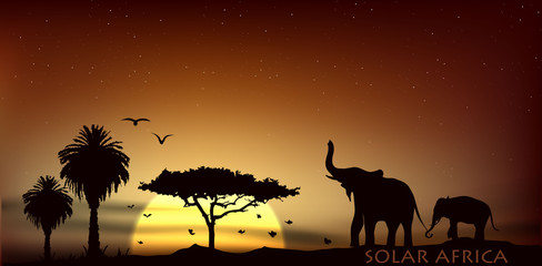 sunrise over the savannah with African elephants and trees