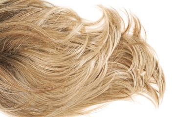 Fototapeta premium Hair fragment over the white