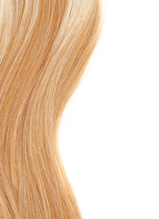 Fototapeta premium Hair fragment over the white